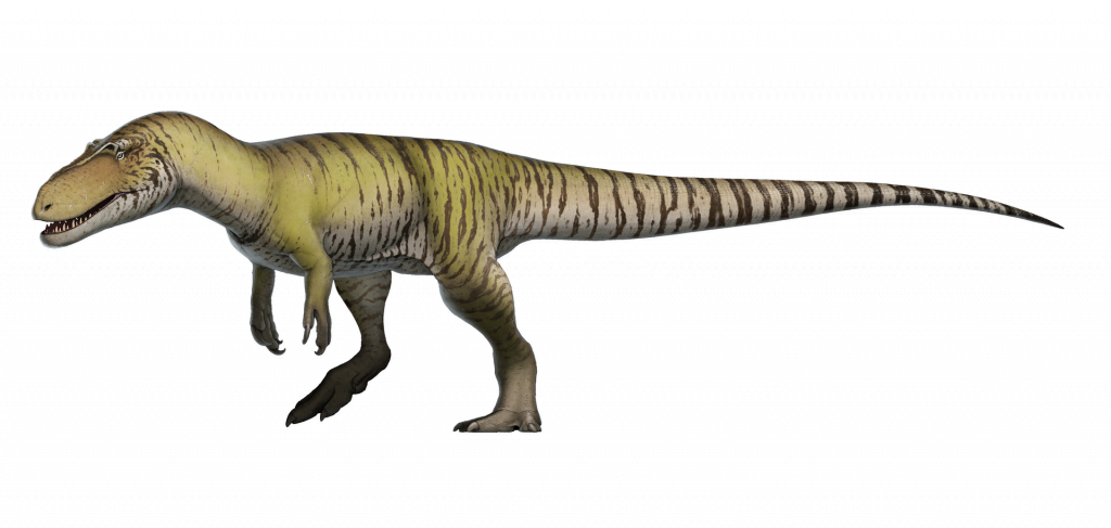 By Fred Wierum - Own work, CC BY-SA 4.0, https://commons.wikimedia.org/w/index.php?curid=57599516, Dinosaur, Torvosaurus