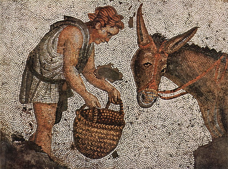 Feed, Byzantinischer Mosaizist des 5. Jahrhunderts Deutsch: Bodenmosaik, Szene: Kind und Esel, Fragment