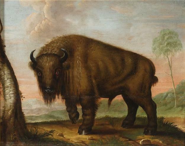 Anonymous (Poland) Wisent against the forest clearing. Date 18th century, Forest Bull