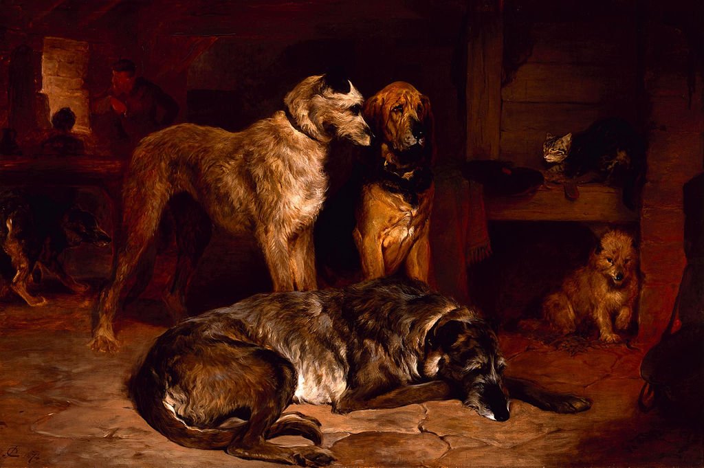 By John Charlton - Berger Collection: id #57 (Denver, Colorado), Public Domain, https://commons.wikimedia.org/w/index.php?curid=6436320, Dog, Medium
