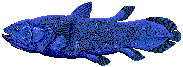 Coelacanth, Public Domain, https://commons.wikimedia.org/w/index.php?curid=68496