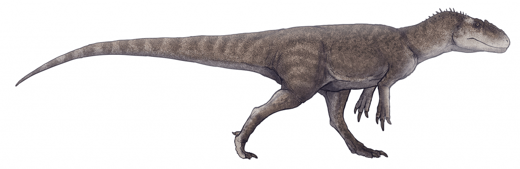 By Paleocolour - Own work, CC BY-SA 4.0, https://commons.wikimedia.org/w/index.php?curid=56113288, Gasosaurus