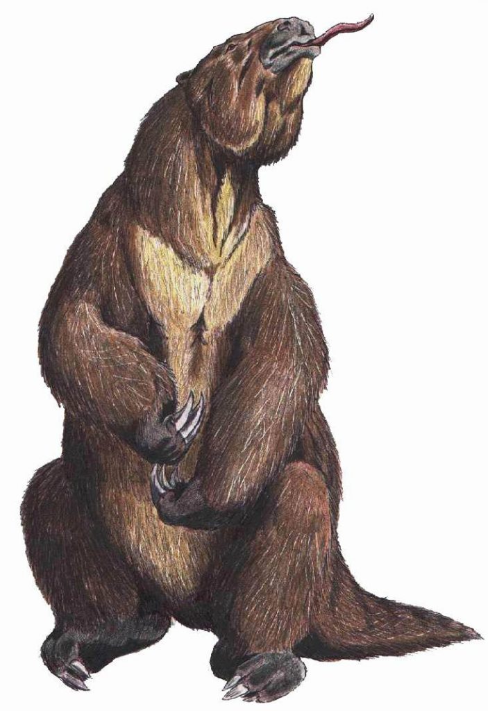 By ДиБгд at Russian Wikipedia - Transferred from ru.wikipedia to Commons., Public Domain, https://commons.wikimedia.org/w/index.php?curid=2460111, Megafauna, Megatherium 