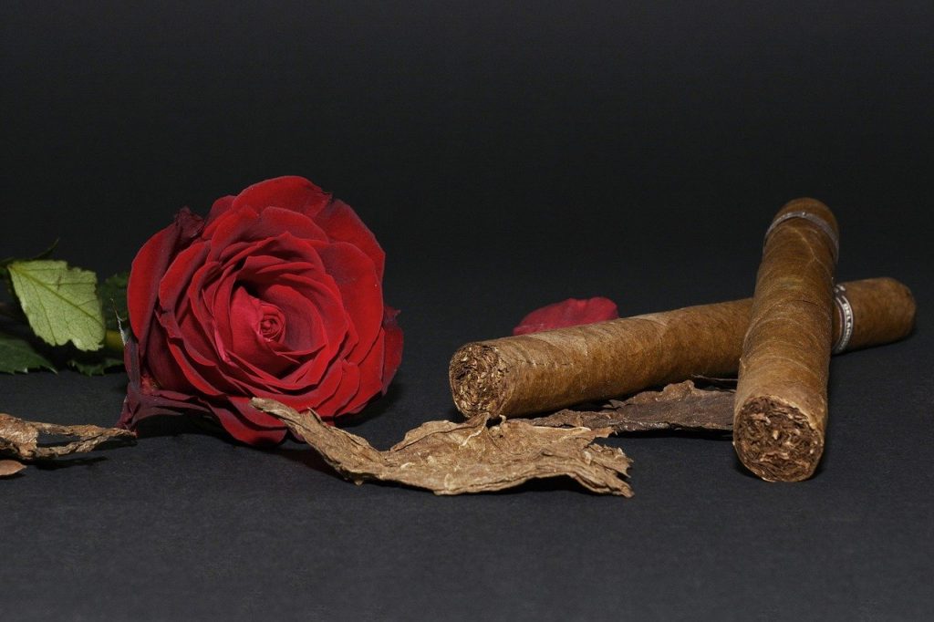 rose, red rose, cigar, Kapre