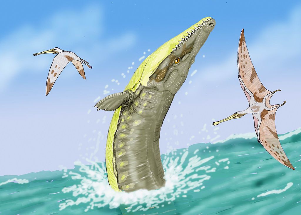By Creator: Dmitry Bogdanov - dmitrchel@mail.ru, CC BY 3.0, https://commons.wikimedia.org/w/index.php?curid=4096883, Crocodilian, Marine Crocodile, Teleosaurus