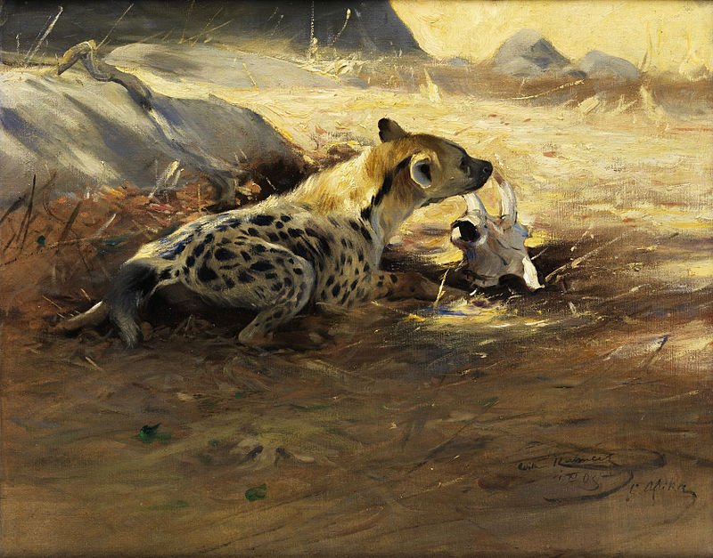 By Wilhelm Kuhnert - Hampel Auctions, Public Domain, https://commons.wikimedia.org/w/index.php?curid=22729611, Hyena