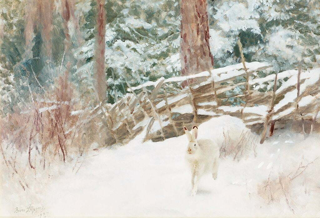 By Bruno Liljefors (1860-1939) - www.bukowskis.se/, Public Domain, https://commons.wikimedia.org/w/index.php?curid=29940847, Familiar, Arctic Hare