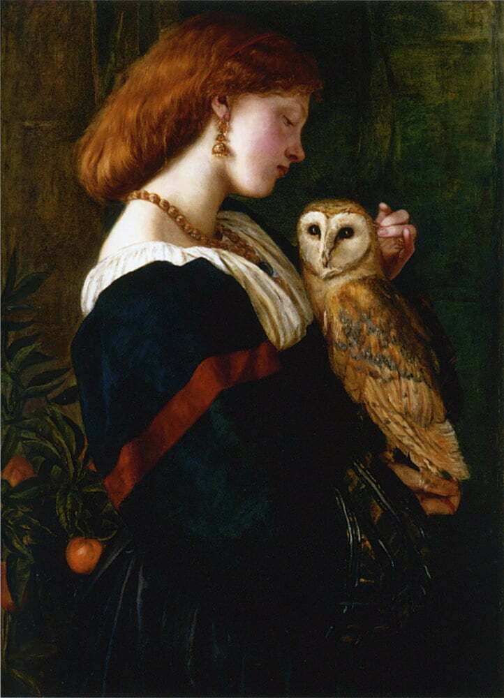 By Valentine Cameron Prinsep - http://preraphaelitepaintings.blogspot.com/2010/08/valentine-cameron-prinsep-il.html, 2011-04-23, Public Domain, https://commons.wikimedia.org/w/index.php?curid=14997922, Owl's Wisdom