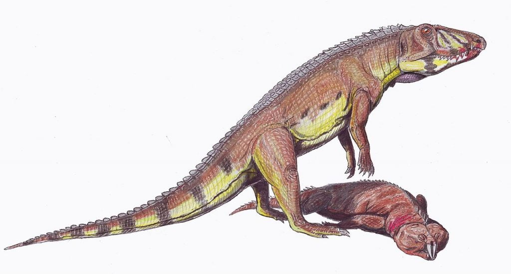By Dmitry Bogdanov - dmitrchel@mail.ru, CC BY-SA 3.0, https://commons.wikimedia.org/w/index.php?curid=3296237, Ornithosuchus
