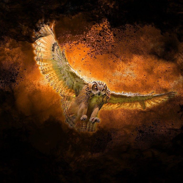 Monster Giant Owl | Fantasy I Sci-Fi I Books I Films I World Building