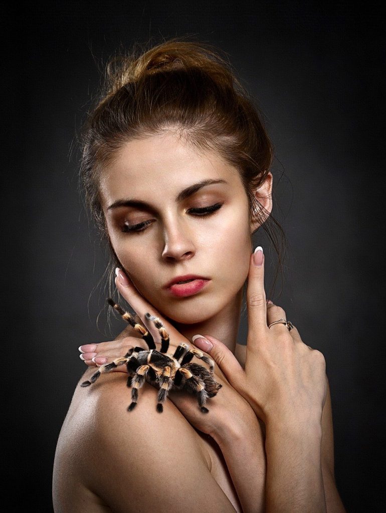 Demon Queen of Spiders, woman, tarantula, girl, Arachnadia 