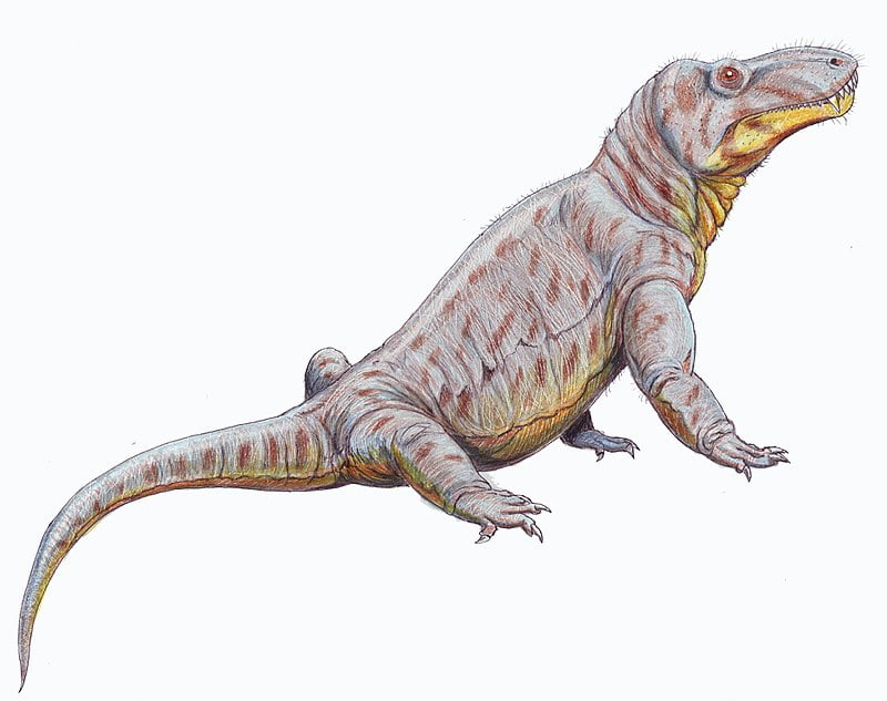 By Creator:Dmitry Bogdanov - dmitrchel@mail.ru, CC BY 3.0, https://commons.wikimedia.org/w/index.php?curid=4772075, Titanosuchus