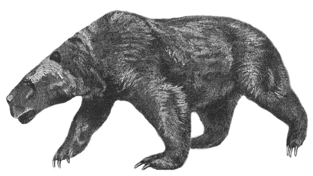 By Baker, Samuel White, modified by A. C. Tatarinov - https://commons.wikimedia.org/wiki/File:Wild_beasts_and_their_ways_(Plate_13)_(6505685715).jpg, Public Domain, https://commons.wikimedia.org/w/index.php?curid=54834527, Kolponomos