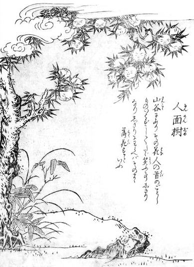 By Toriyama Sekien (鳥山石燕, Japanese, *1712, †1788) - scanned from ISBN 4-336-03386-2., Public Domain, https://commons.wikimedia.org/w/index.php?curid=2080442, Jinmenju