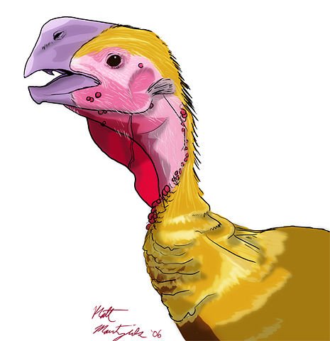 Bust of Oviraptor philoceratops by Matt Martyniuk. Dire Turkey