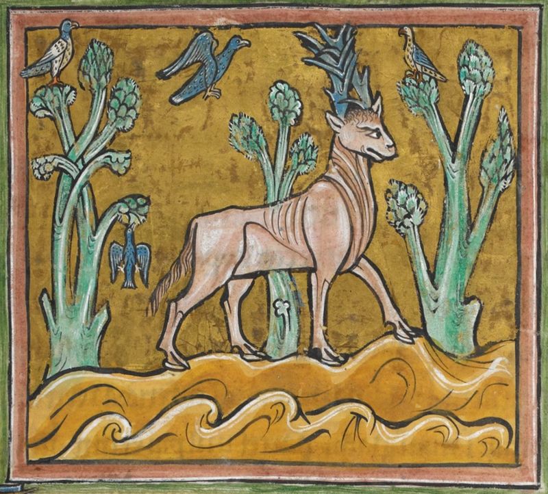 By Unknown author - Folio from a 13th century Bestiary, The Rochester Bestiary (British Library, Royal MS 12 F XIII), Public Domain, Parandrus, https://commons.wikimedia.org/w/index.php?curid=42610938