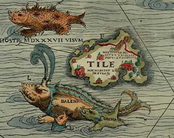 By Olaus Magnus - Detail from the Carta Marina, Image:Carta Marina.jpeg, Public Domain, https://commons.wikimedia.org/w/index.php?curid=949510, Dragon Whale