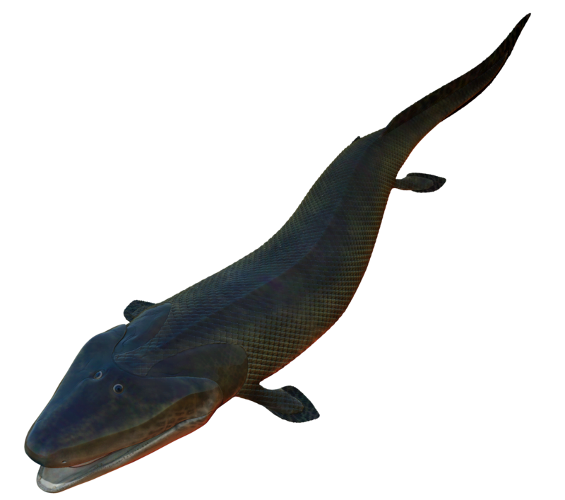 Tiktaalik, By Obsidian Soul - Own work, CC BY 4.0, https://commons.wikimedia.org/w/index.php?curid=47401797
