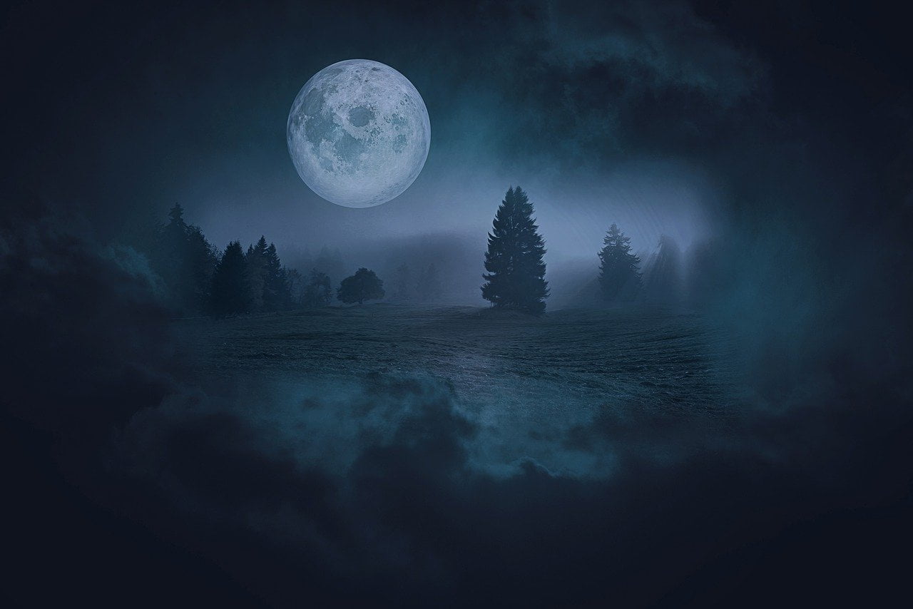 Fantasy landscape representing the fantasy film and television archive