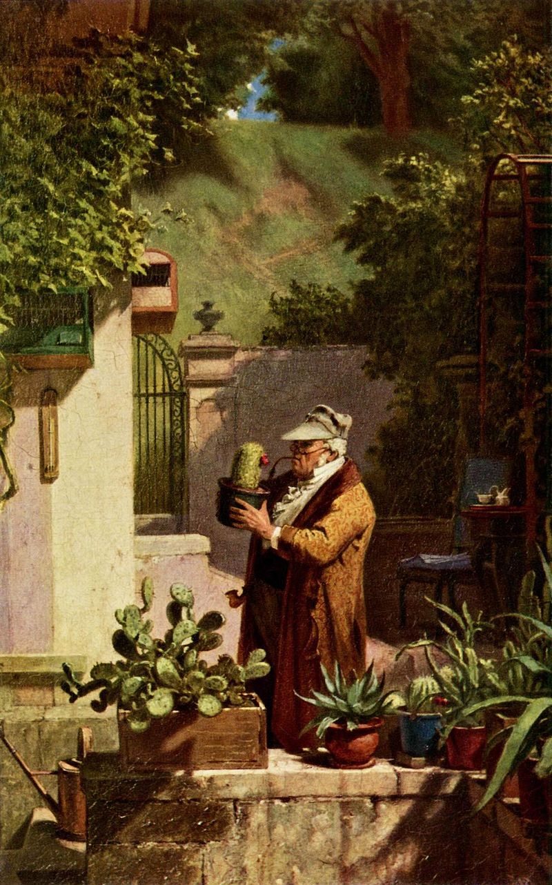 A man examines a flowering potted cactus among other plants in a garden, in a painting by Carl Spitzweg