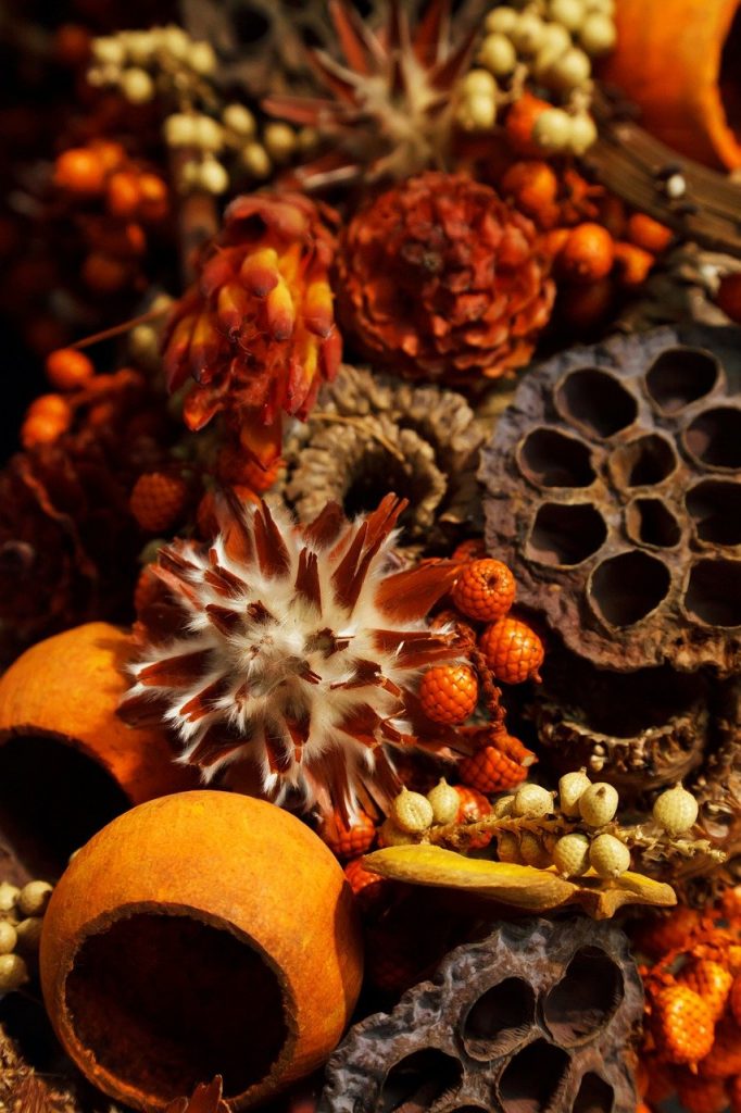 aroma, aromatherapy, autumn, Scent