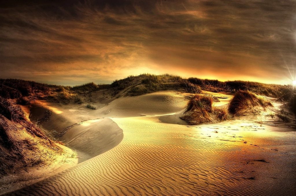 dunes, sea, north sea, Shifting Sand