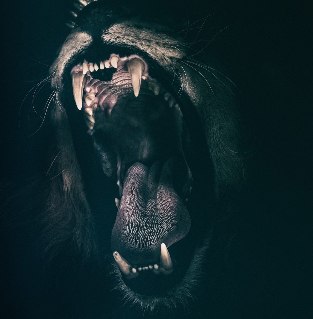 lion, teeth, roar, Phantasmal Killer