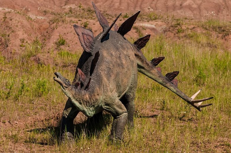 dinosaur, gad, mammal-958007.jpg, Stegosaurus