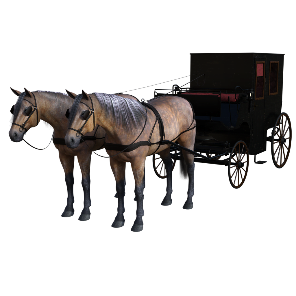 carriage, horse, drawn-3967738.jpg