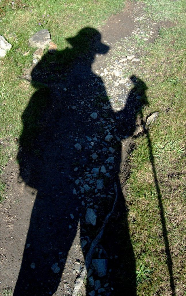 Rogue, Scout, shadow, trek, trekker-1665061.jpg