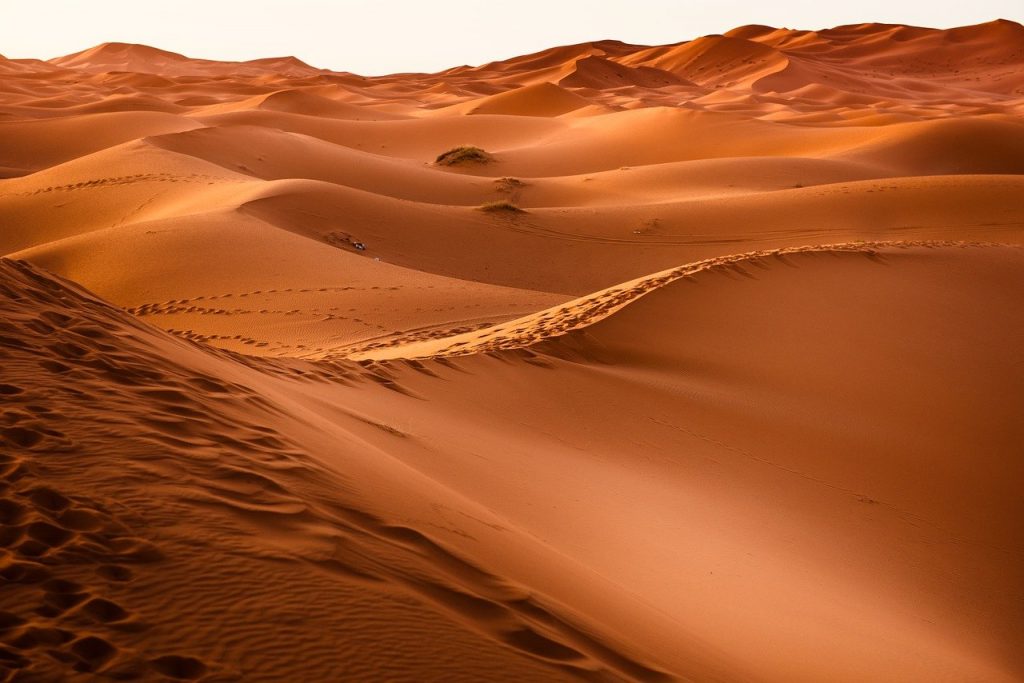 Drake, Desert, desert, sand dunes, dunes-1270345.jpg
