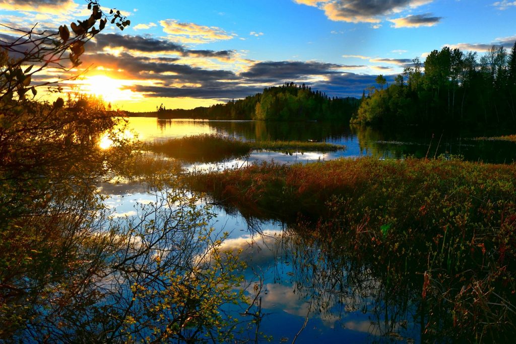 landscape, nature, environment-5248988.jpg