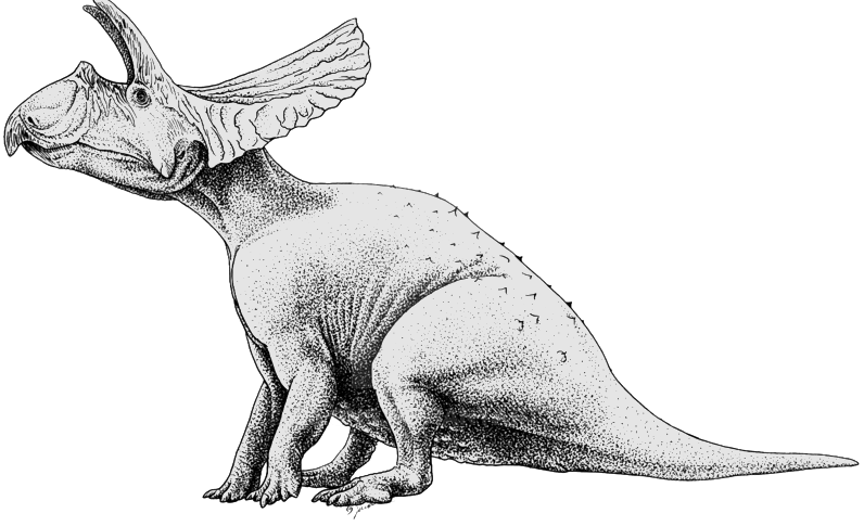 By Jaime A. Headden - https://www.deviantart.com/qilong/art/Toroceratops-436944913, CC BY 3.0, https://commons.wikimedia.org/w/index.php?curid=74035564, Dinosaur, Torosaurus