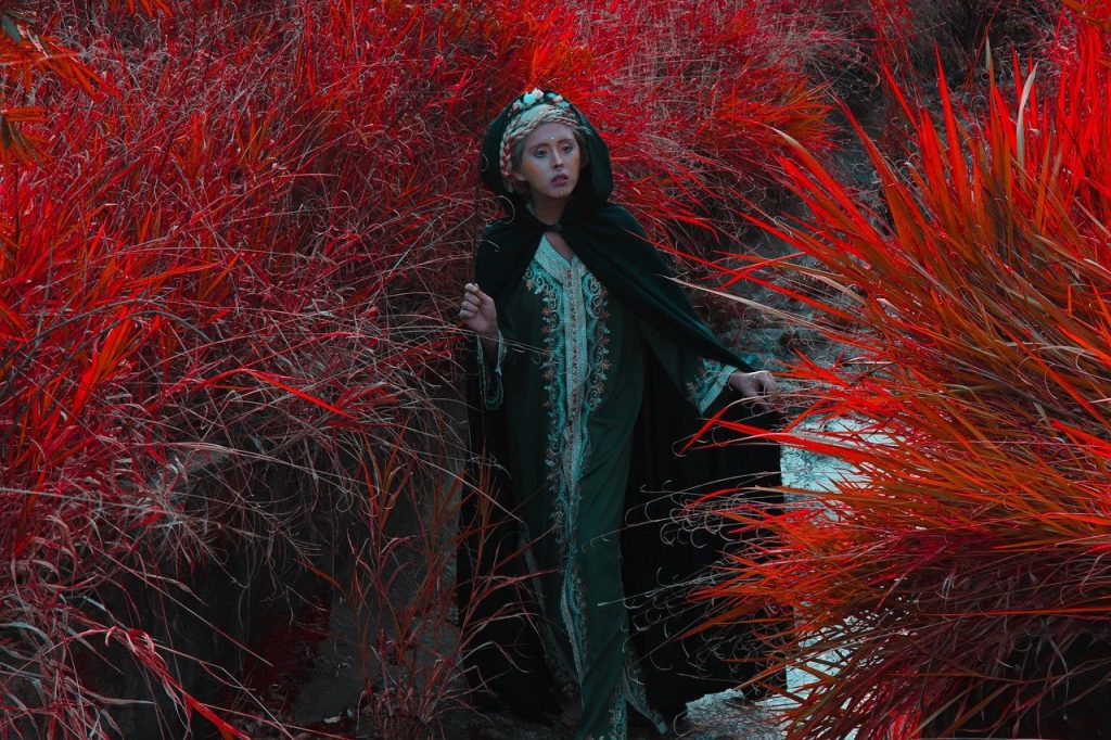 lyzz hana, woman, fantasy-3601848.jpg, Celtic Priesthood