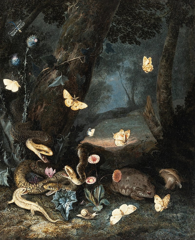By Otto Marseus van Schrieck - Karl & Faber, München, 8. November 2019, Auktion 291, Los 17, Public Domain, https://commons.wikimedia.org/w/index.php?curid=86488094