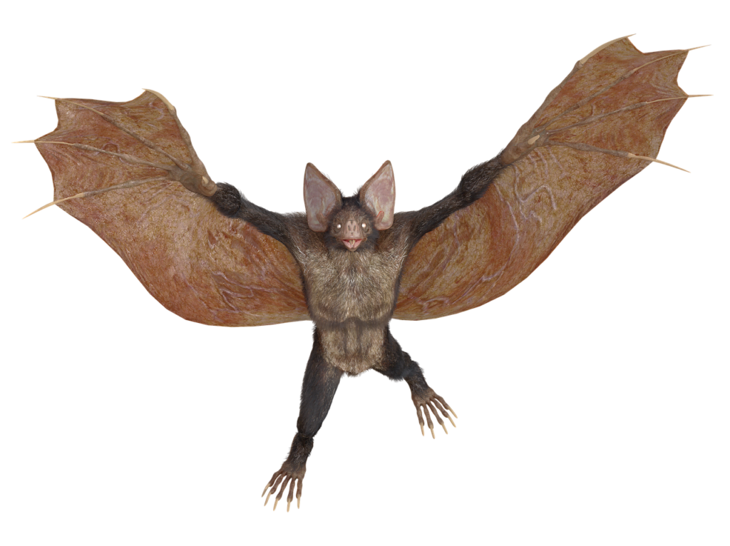 Bat Flying Dog Mythical Creatures  - anaterate / Pixabay, Camazotz