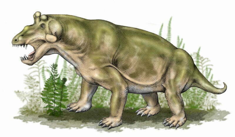 By Mojcaj - Own work, CC BY-SA 3.0, https://commons.wikimedia.org/w/index.php?curid=4000964, Estemmenosuchus