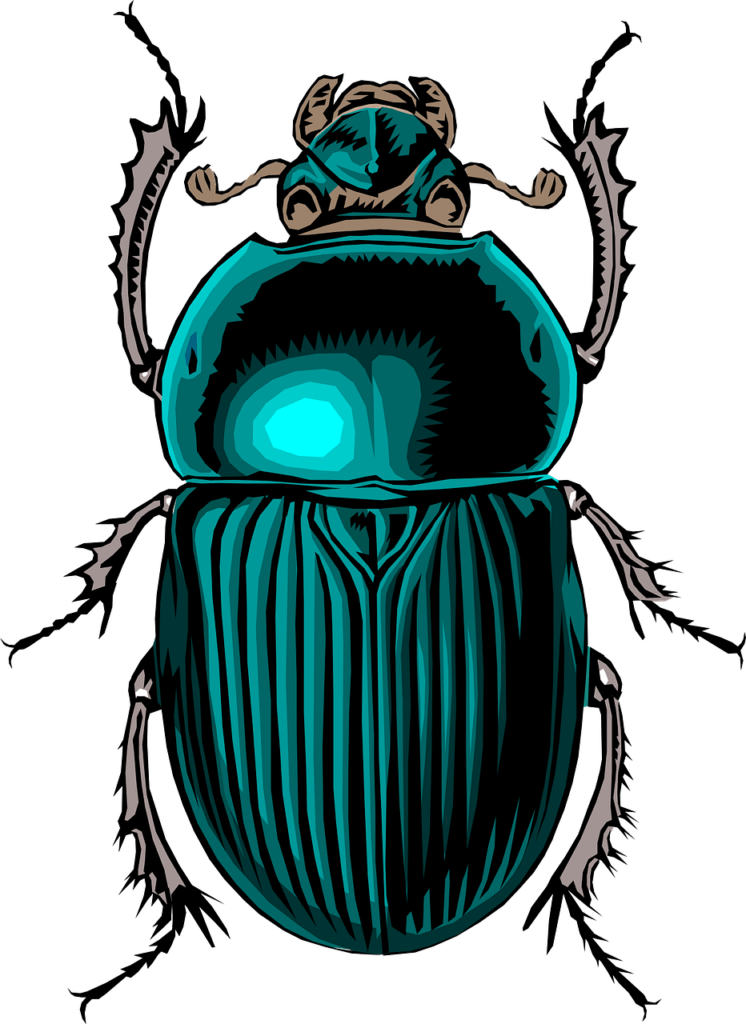 Beetle Insect Bug Scarab Stink  - Clker-Free-Vector-Images / Pixabay