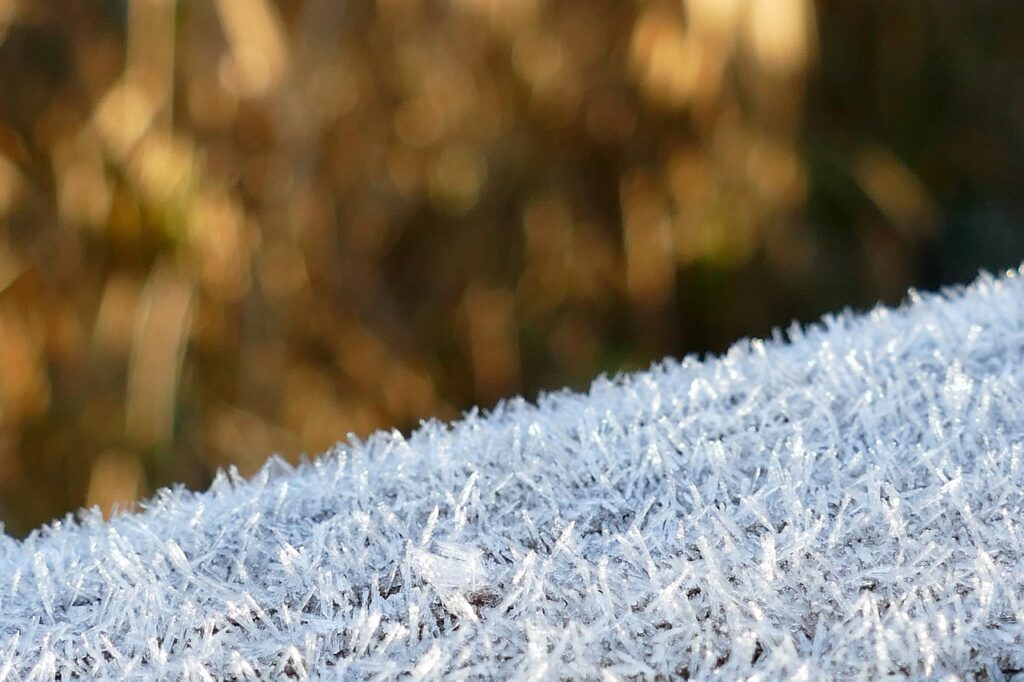 Frost Winter Season Texture Ripe  - MrsBrown / Pixabay, Creeping Cold