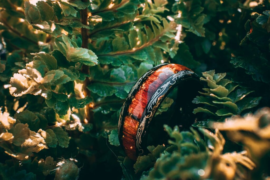 Ring Wood Ring Leaves Plant  - jerrografie / Pixabay. Ring of Chameleon Power