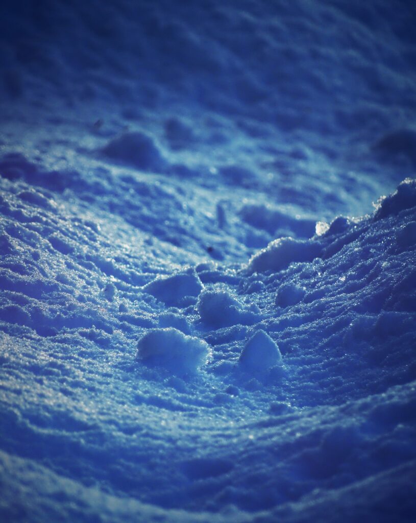Snow Winter Ice Frost Cold  - BlenderTimer / Pixabay