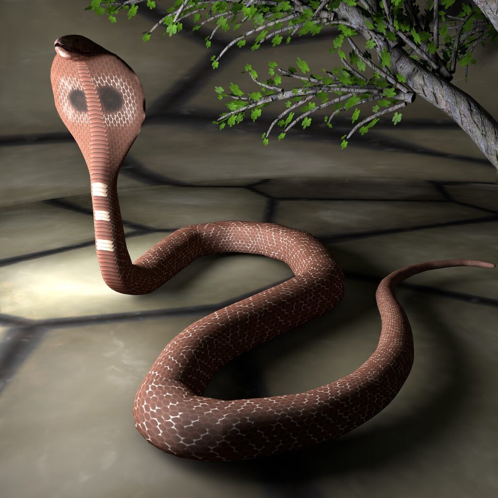 Line Reptile Animal Snake Type  - kalhh / Pixabay, Pharaonic Bestiary