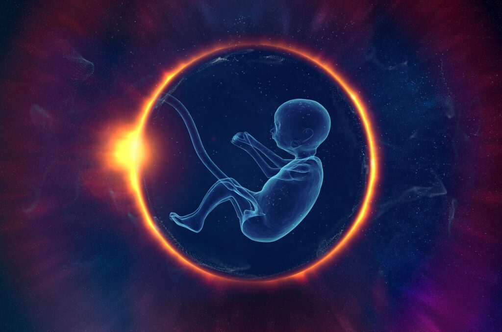 Embryo Life Evolution Space Source  - Vic_B / Pixabay, Analyze Fertility