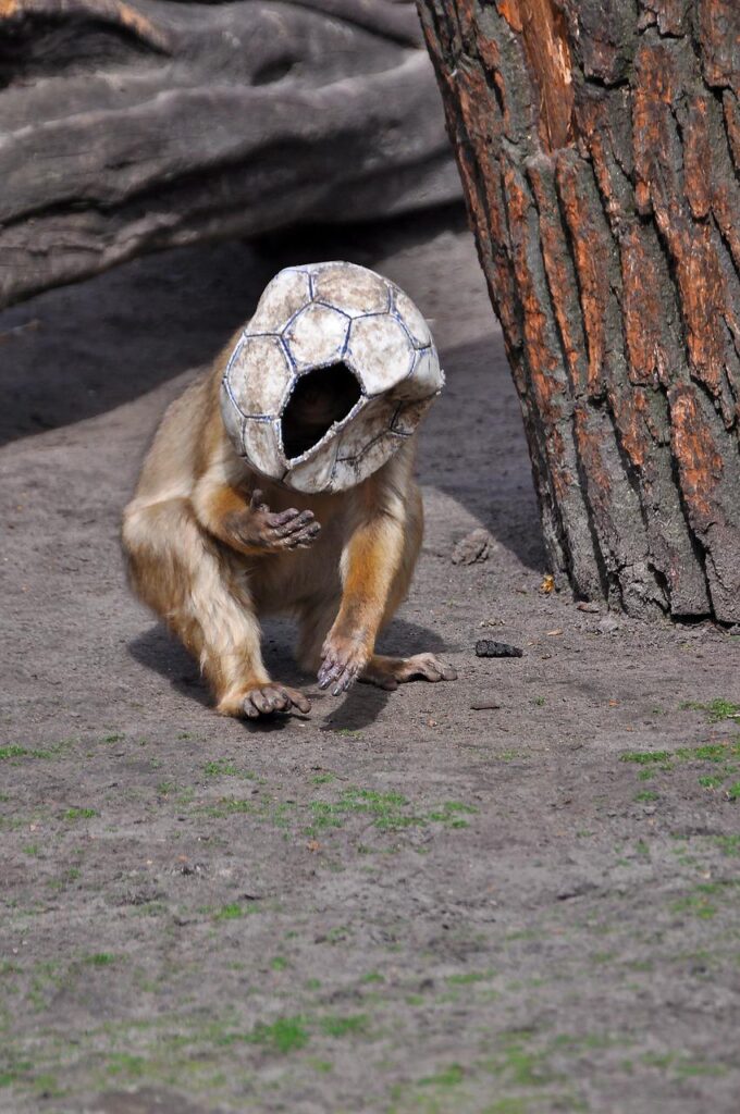 Ape Soccer Ball Fun Snapshot Mask  - borismayer77 / Pixabay, Attic Whisperer