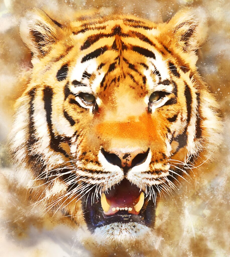 Tiger Wild Cat Feline Animal World  - ArtTower / Pixabay, Weretiger