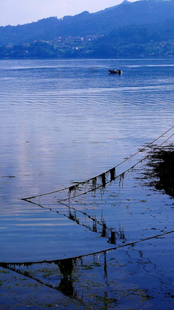 Lake Nature Travel Exploration  - ybernardi / Pixabay, Cloak of the Sea