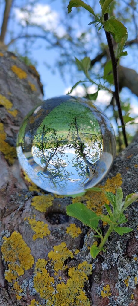 Lensball Ball Tree Trees Green  - Skydruide / Pixabay, Acid Orb Lesser