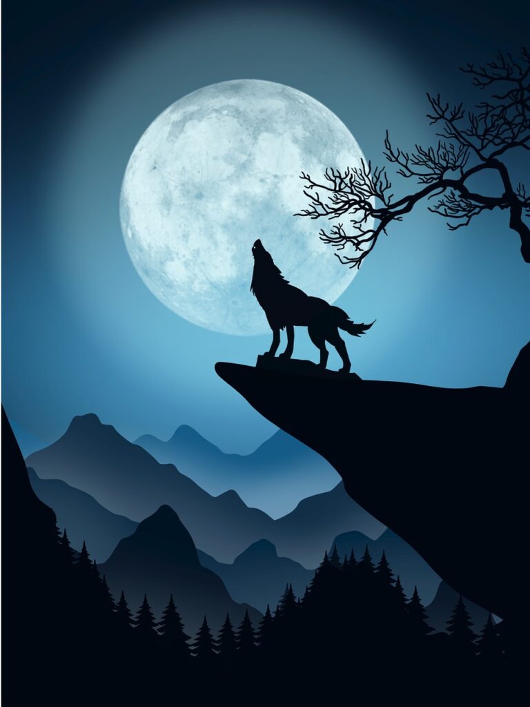 Moon Night Mountain Moonlight  - Imstudio1989 / Pixabay