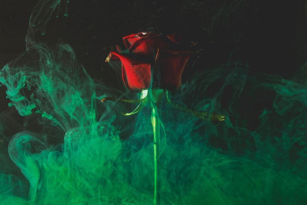 Rose Red Smoke Fog Red Rose  - Engin_Akyurt / Pixabay, Acid Fog