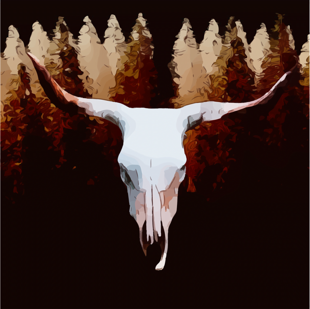Skull Cattle Trees Woods Forest  - prettysleepy1 / Pixabay, North American Monsters